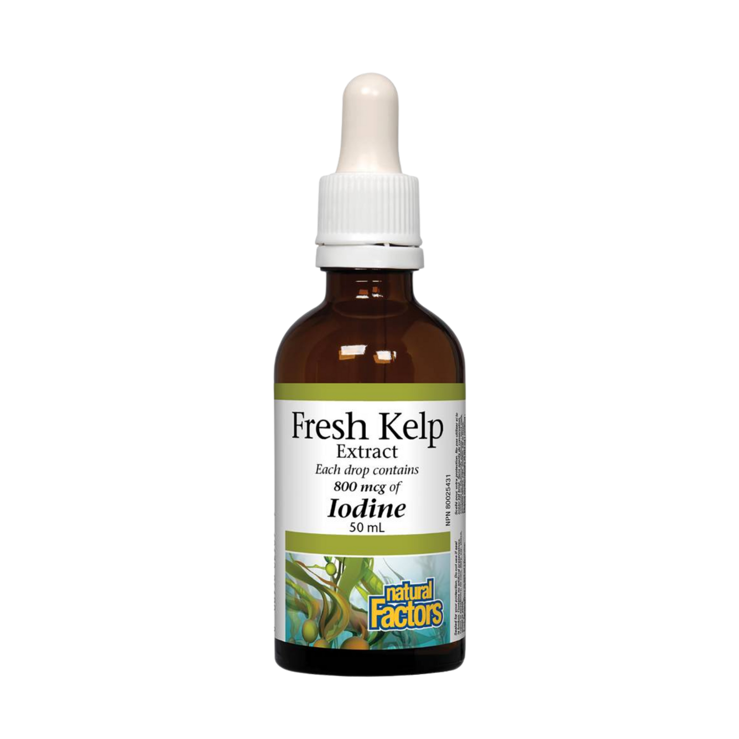 Natural Factors Fresh Kelp Extract 50 mL