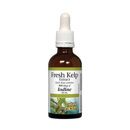 Natural Factors Fresh Kelp Extract 50 mL