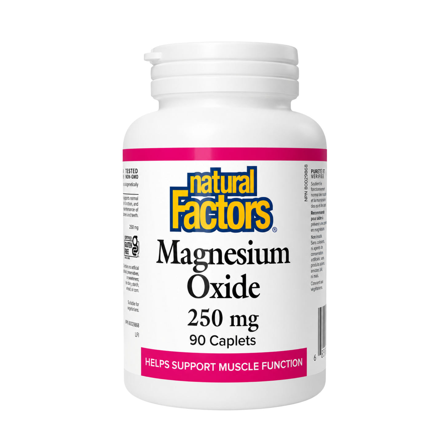 Natural Factors Magnesium Oxide 250 mg 90 Capsules
