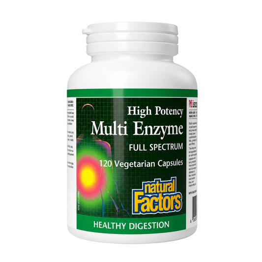 Natural Factors High Potency Multi-Enzyme