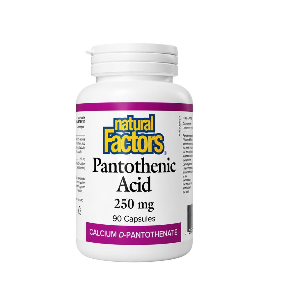 Natural Factors Pantothenic Acid 250 mg 90 Capsules