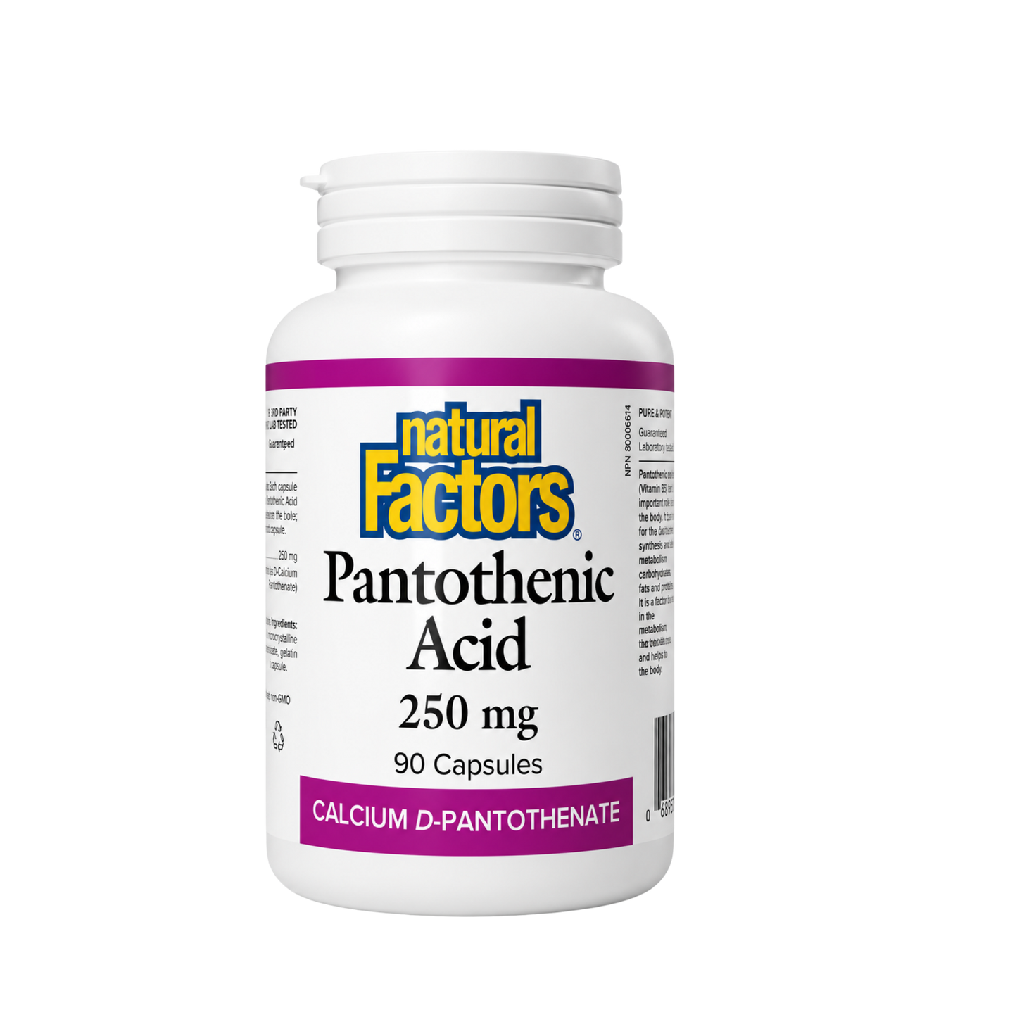Natural Factors Pantothenic Acid 250 mg 90 Capsules