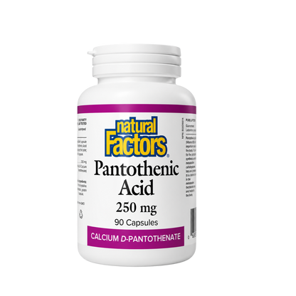 Natural Factors Pantothenic Acid 250 mg 90 Capsules