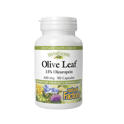 Natural Factors Olive Leaf 500 mg 90 Capsules