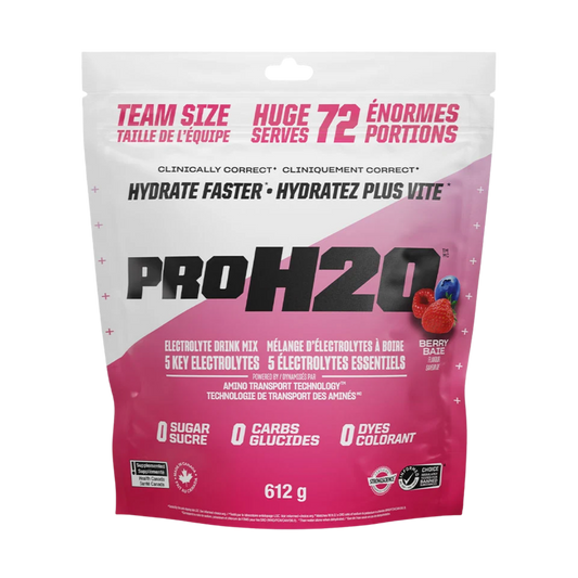 PVL Pro H2O Electrolyte Drink Mix Berry 612 g