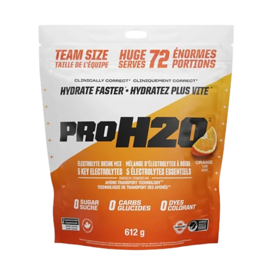 PVL Pro H2O Electrolyte Drink Mix Orange 612 g