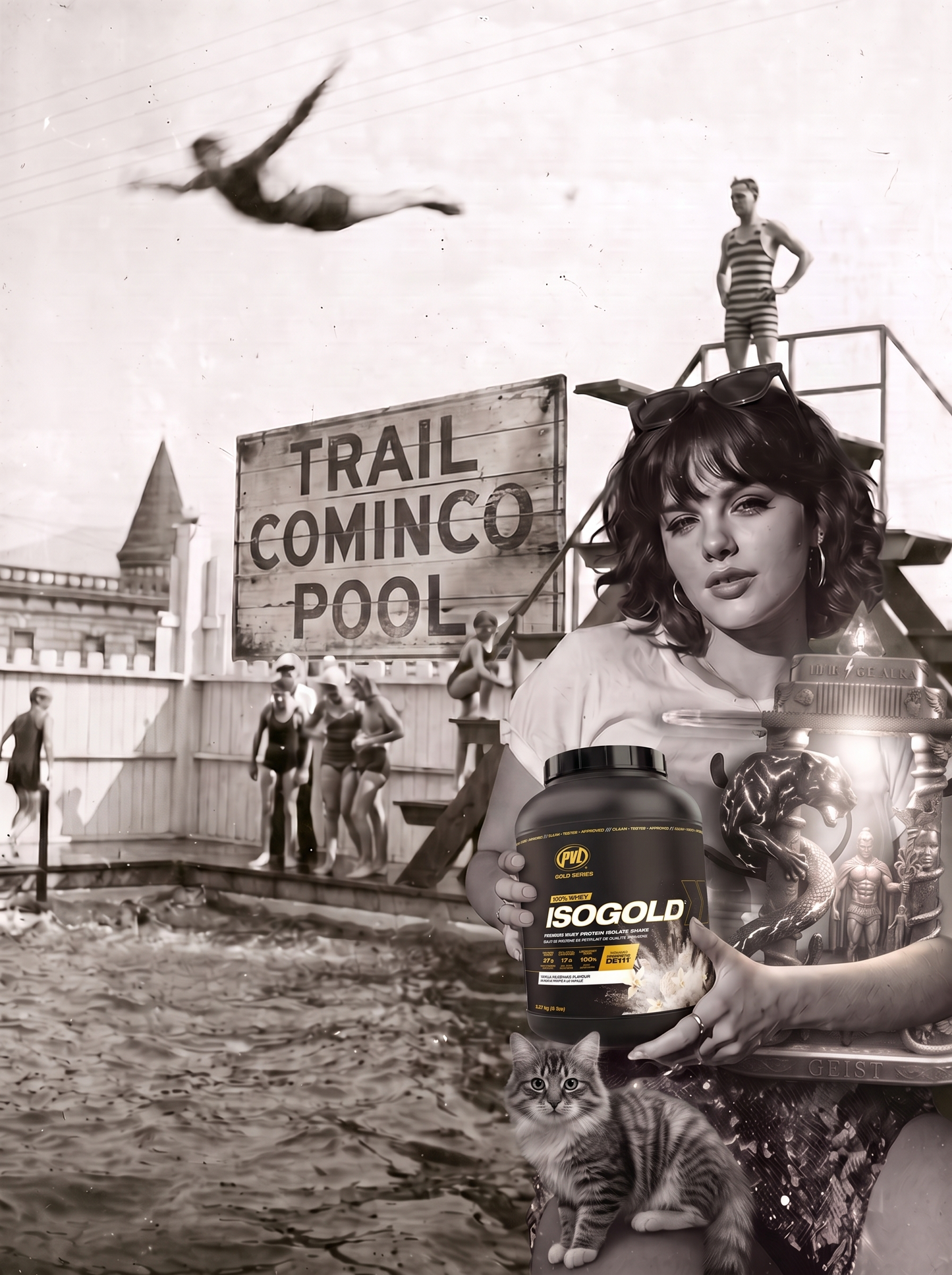 PVL IsoGold Vanilla Milkshake 5 lb