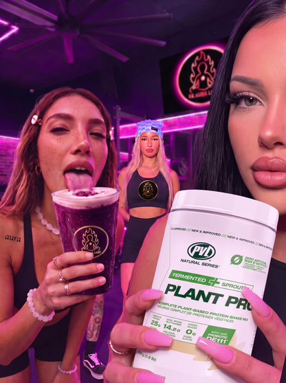 PVL Fermented Sprouted Plant Protein Vanilla 840 g