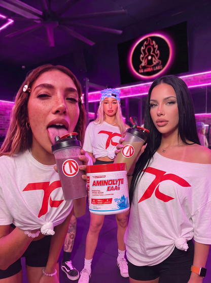 TC Nutrition Amino Light EAA Lemon Iced Tea 490 g