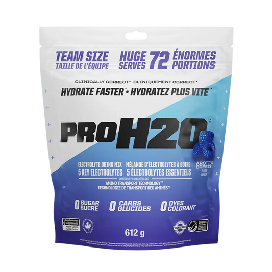 PVL Pro H2O Electrolyte Drink Mix Arctic Blue 612 g